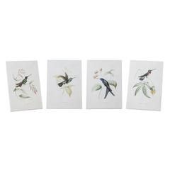 Hummingbird Print (Set of 4) 5.5"L x 8"H Wood/MDF/Paper