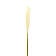 Pampas Spray (Set of 4) 30"H Polyester