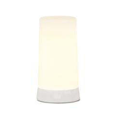 LED Flickering Light remote and 6 Hr Timer (Set of 2) 5"H Plastic 6 Hr Timer