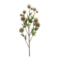 Allium Spray (Set of 6) 26"H Plastic/Polyester