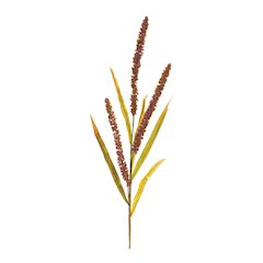 Seeded Spray (Set of 12) 25.5"H Plastic
