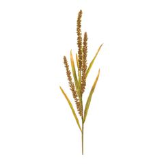 Seeded Spray (Set of 12) 25.5"H Plastic