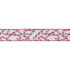 2.5" x 10 Yds.  Wired (Set of 2) Polyester