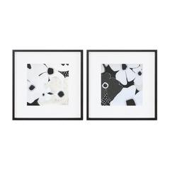 Framed Floral Print (Set of 2) 19"SQ MDF/Glass