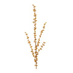 Ilex Berry Spray (Set of 2) 29"H Plastic