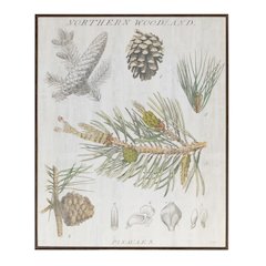 Framed Pine Print 13"L x 15.5"H Plastic/Paper