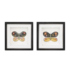 Butterfly Block (Set of 2) 6"SQ Wood/Acrylic