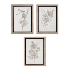 Framed Garden Print (Set of 3) 12"L x 15.5"H Wood/MDF