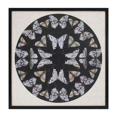 Butterfly Print 25"SQ Plastic/Paper/Glass