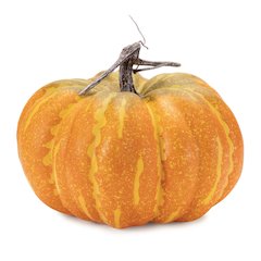 Foam Pumpkin Decor (Set of 2)