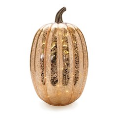 LED Mercury Glass Pumpkin Decor (Set of 2)
