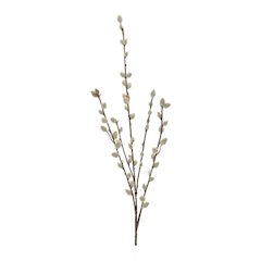 Pussy Willow Twig Spray (Set of 6)