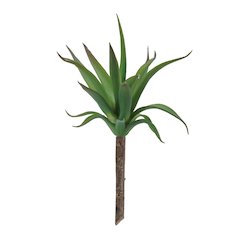 Succulent Plant Pick (Set of 6)