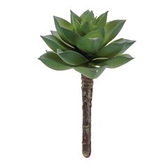 Succulent Plant Pick (Set of 12)
