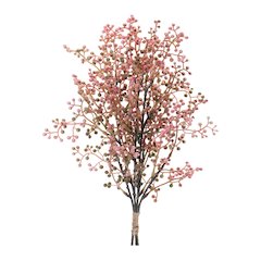 Mini Berry Spray Bundle (Set of 6)