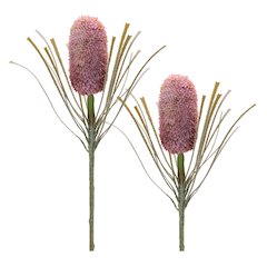 Protea Floral Stem (Set of 2)
