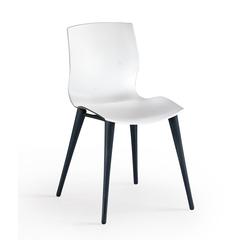 Evalyn Chair WHITE seat  with ANTHRACITE legs