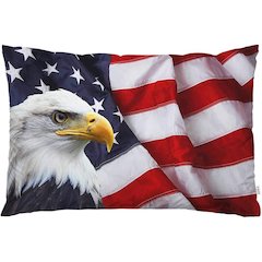 US Flag Eagle Small Noncorded Pillow 12x12