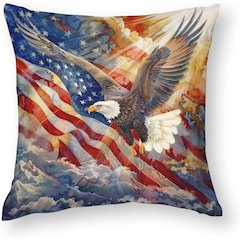 US Flag Eagle Extra Large Zippered Pillow Cover Only (No Insert) 22x22