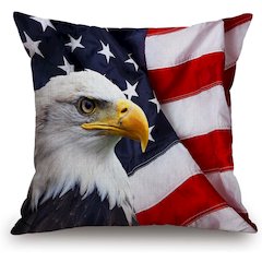 US Flag Eagle No Cord Pillow 18x18