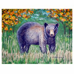 Black Bear Place Mat Set of 4