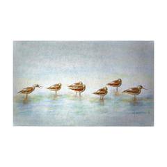 Avocets Door Mat 18x26