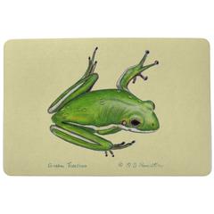Green Tree Frog Door Mat 18x26
