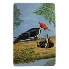 Pileated Woodpeckers Door Mat 18x26