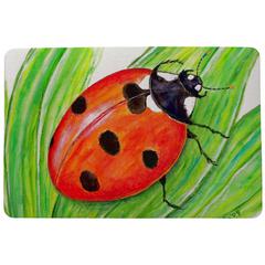 Lady Bug Door Mat 18x26