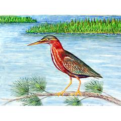 Green Heron II Door Mat 18x26