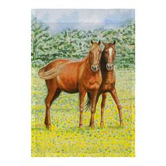 Two Horses Flag 12.5x18