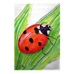 Ladybug Flag 12.5x18