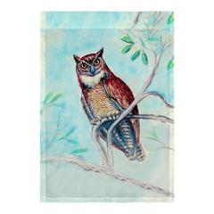 Owl in Teal Flag 12.5x18