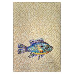 Pumpkinseed Fish Guest Towel