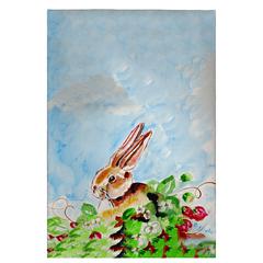 Jack Rabbit Lt Guest Towel
