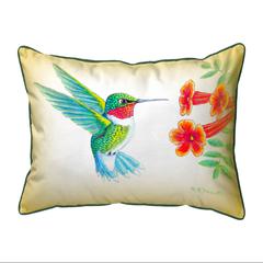Dick's Hummingbird Large Indoor/Outdoor Pillow 16x20