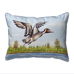 Pintail Duck Large Indoor/Outdoor Pillow 16x20