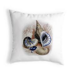 Grouped Shells Antique Print Small Noncorded Pillow
