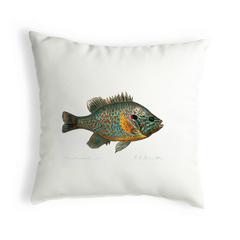 Pumpkinseed Fish Small Noncorded Pillow