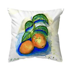 Two Oranges Small Noncorded Pillow 12x12