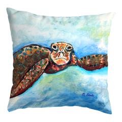 Turtle Looking At Me Small Noncorded Pillow 12x12