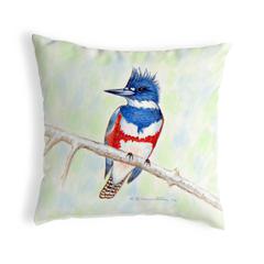 Kingfisher Small No-Cord Pillow 12x12