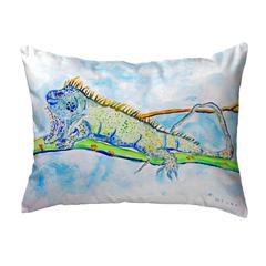 Iguana Small No-Cord Pillow 11x14
