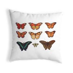 Multi Butterflies Red and Orange Antique Print Large Noncorded Pillow
