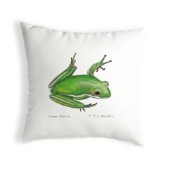 Green Treefrog No Cord Pillow 18x18