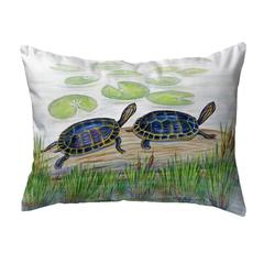 Two Turtles No Cord Pillow 16x20