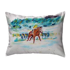 Fast Start Noncorded Indoor/Outdoor Pillow 16x20