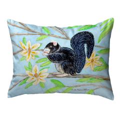 Fox Squirrel No Cord Pillow 16x20
