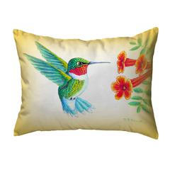 Dick's Hummingbird Noncorded Indoor/Outdoor Pillow 16x20