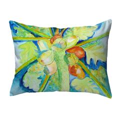 Big Cocoa Nuts Noncorded Indoor/Outdoor Pillow 16x20